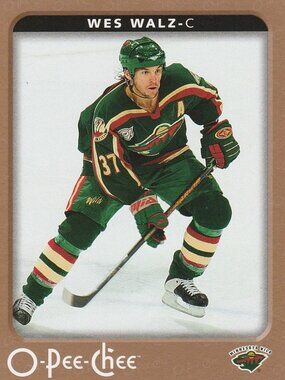 Wes Walz - 2006/2007 O Pee Chee Hockey Card